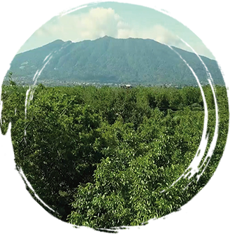 La nostra Mission
